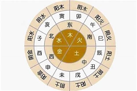 五行木太多|八字木太多怎么办 (一个人五行木太多了怎么办)